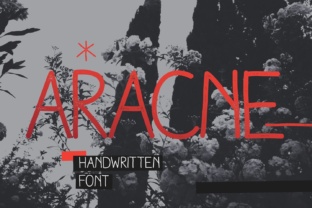 Aracne: A Bold and Versatile Typographic Choice