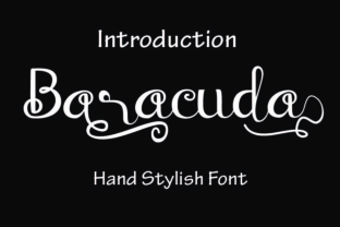Baraccuda: A Classy Script Font for Creative Projects