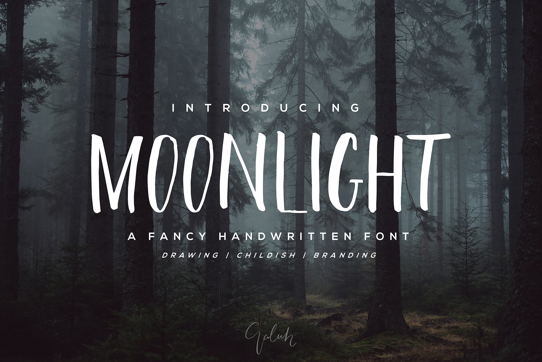 Moonlight: A Beautiful Brush Font for Modern Design