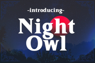 Night Owl: A Timeless Serif for Every Design