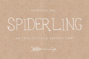 Spiderling: The Handwritten Font Redefining Modern Design